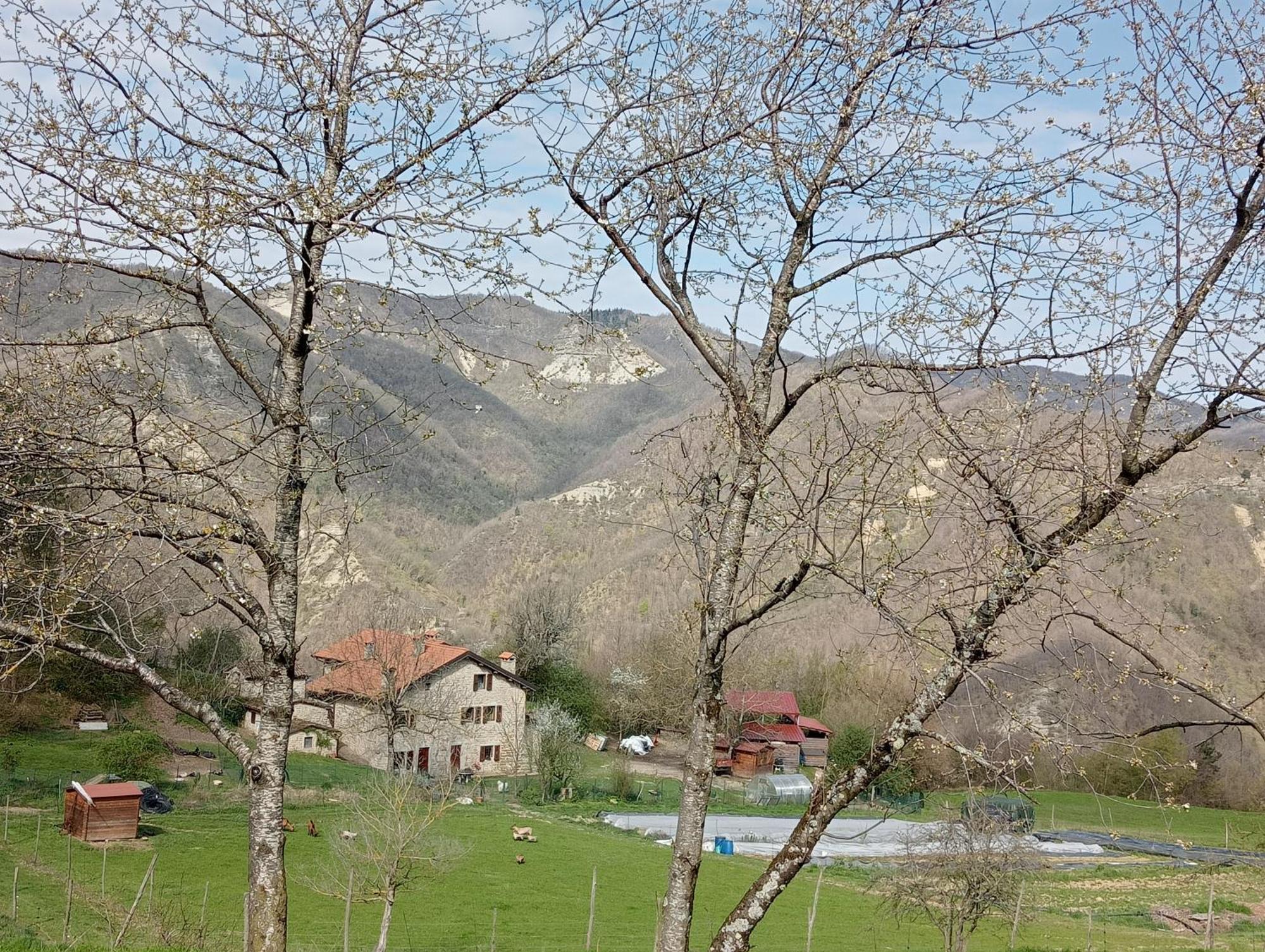 Apartment Az Rocca Corneta Palazzuolo Sul Senio
