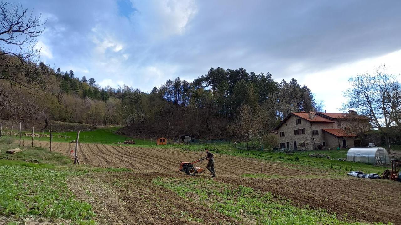 Az Rocca Corneta Palazzuolo Sul Senio