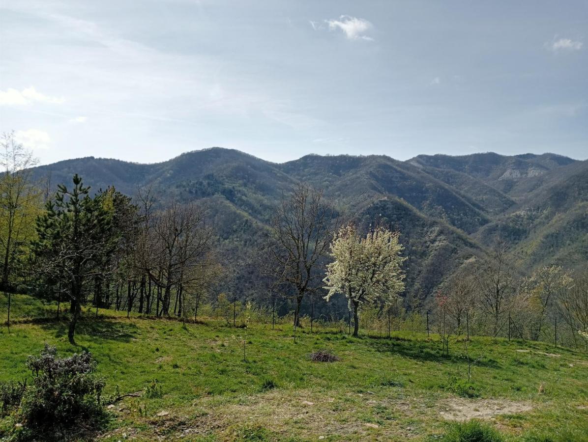 Apartment Az Rocca Corneta